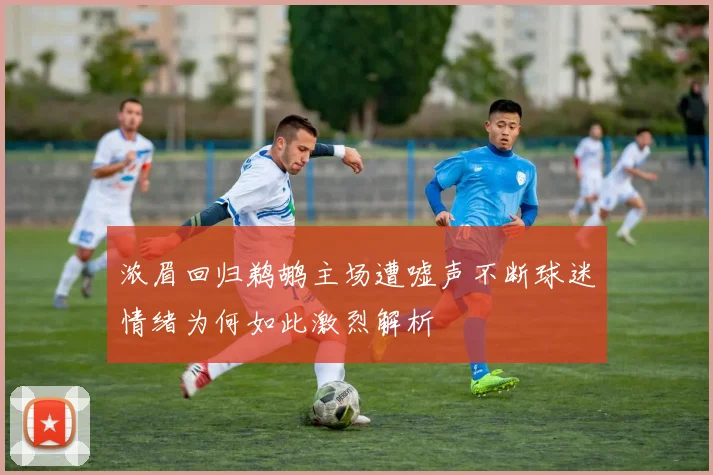 浓眉回归鹈鹕主场遭嘘声不断球迷情绪为何如此激烈解析