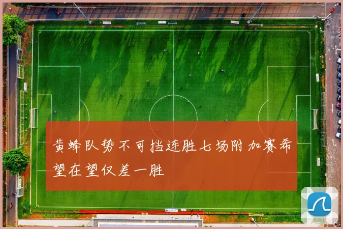 黄蜂队势不可挡连胜七场附加赛希望在望仅差一胜