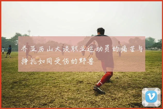 乔亚历山大谈职业运动员的痛苦与挣扎如同受伤的野兽